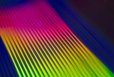 main Win79 Club